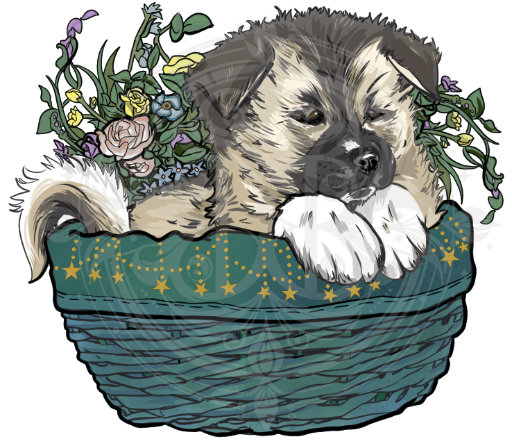 Sleepy Akita puppy Sticker