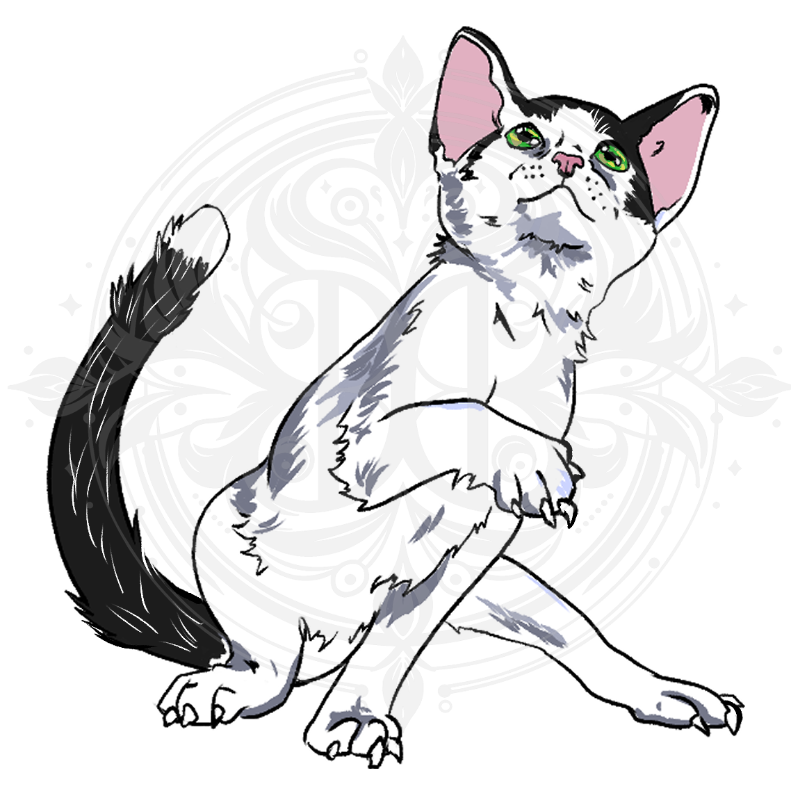 White & Black Kitten Sticker