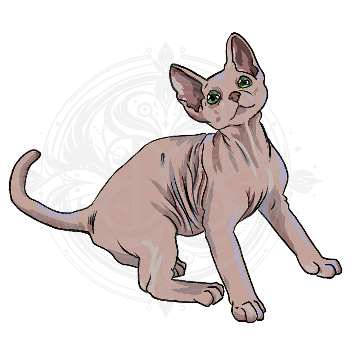 Hairless kitten Sticker