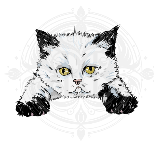 Derby cat Sticker