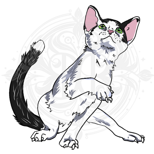 White & Black Kitten Sticker